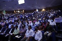 winbuzz android download